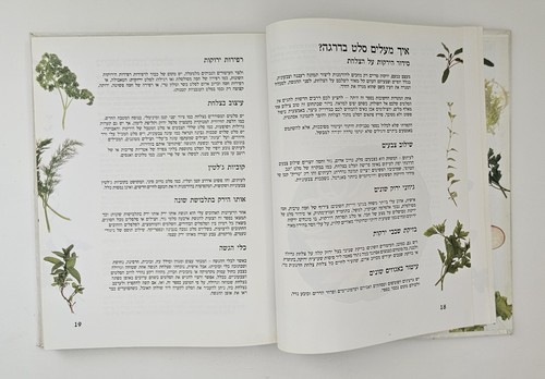 Libro de cocina kosher hebreo ensaladas por Nira Rousso tapa dura Israel Food... - Imagen 6 de 22