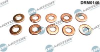 Dr.Motor Automotive Dichtungssatz EinspritzdüSe