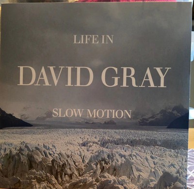 David Gray - Life In Slow Motion