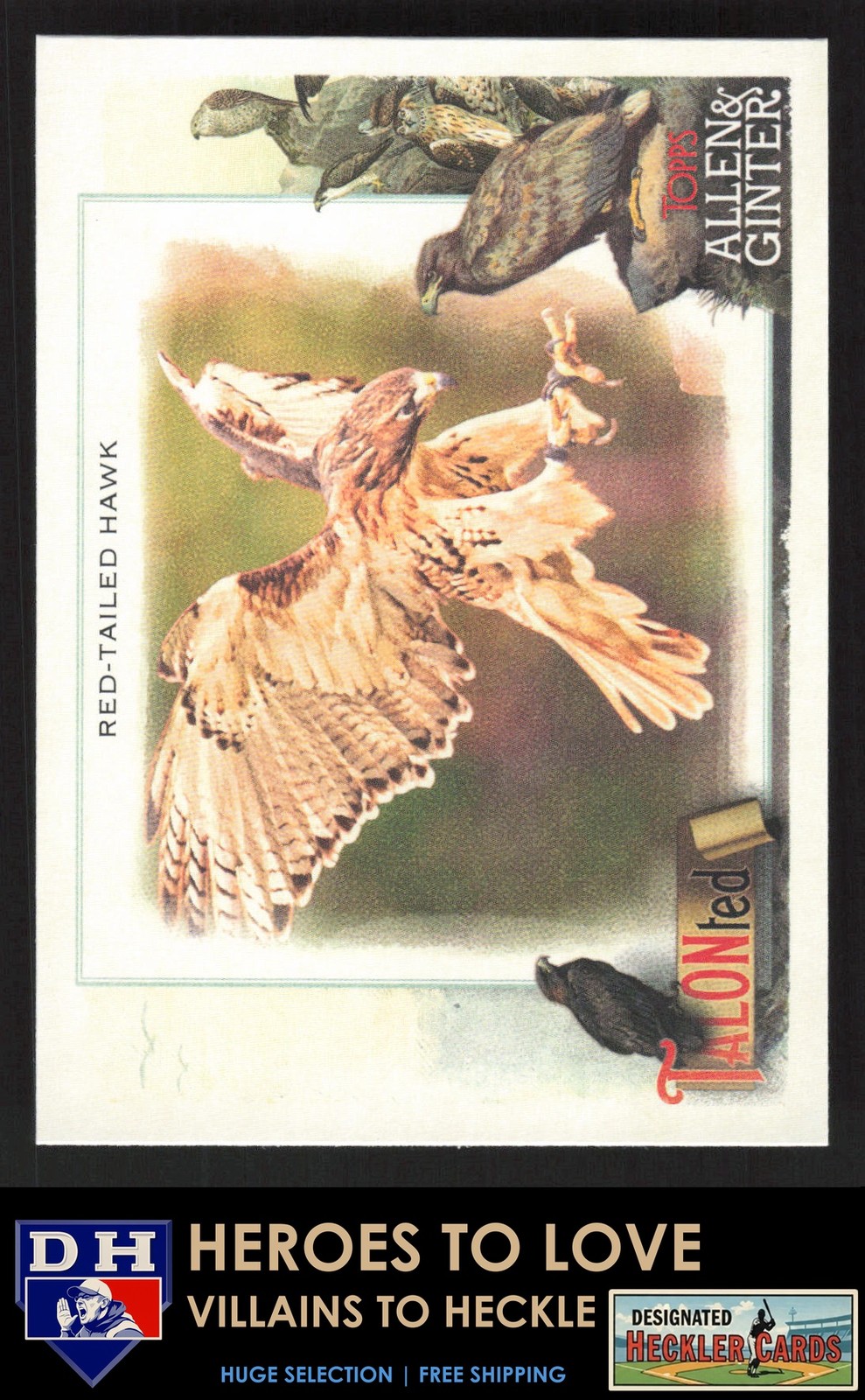 2023 Topps Allen & Ginter Talonted Red-tailed Hawk #TT-20