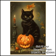 Fridge Fun Refrigerator Magnet HALLOWEEN Vintage Black Cat with Pumpkin Retro