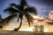 Paradise Found Danita Delimont Photography Print Palm Tree Beach Tropical 18x26