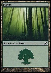 Forest (381) - 10th Edition Magic: The Gathering