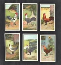 Cocks & Hens Set Of 6 Dutch Cards 1929 Ser A2 No 37-42 Chicken Poultry Campine