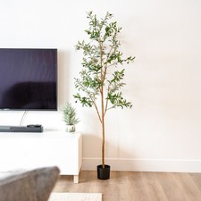 Indoor Artificial Olive Tree with Silk Leaves - 6 ft by Sunnydaze