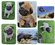 Custom Photo Fridge Magnet | Personalized any Photo Logo Magnet | 5.5 × 7.5 cm |