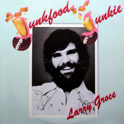 Larry Groce - Junkfood Junkie / VG+ / LP, Album, San