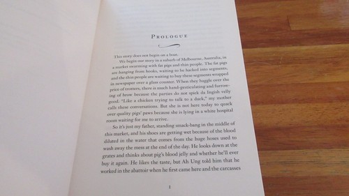 GEMA SIN PULIR ~ Alice PUNG. Moving ViViD journey sc 2008 sin leer AQUÍ en MELB - Imagen 6 de 7