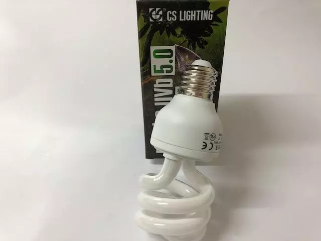 Ebay on sale fluorescent lights