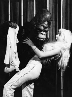 Gorilla rips off a girl's clothes a striptease act a Frankfurt - 1963 Old Photo