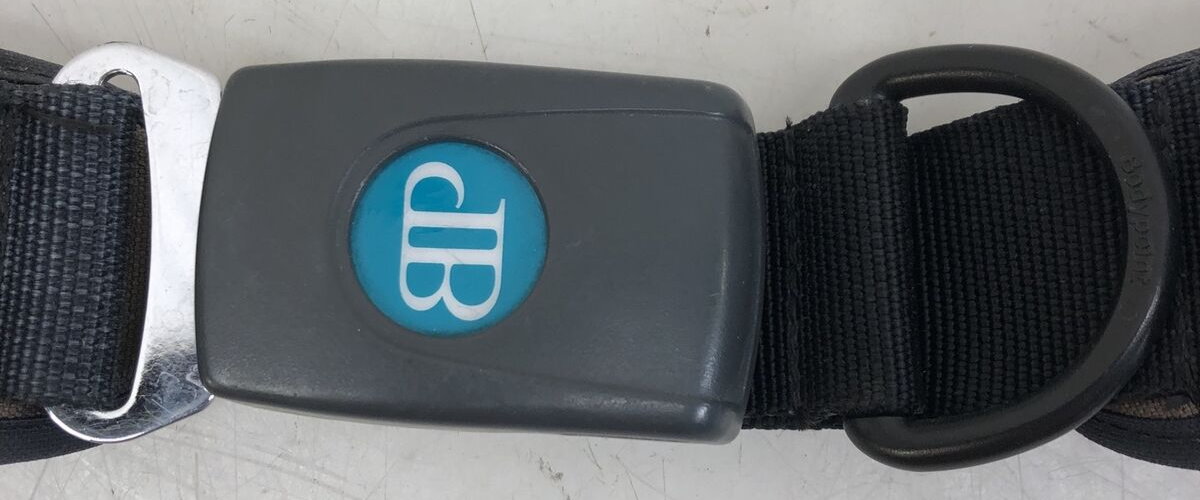 Evoflex Bodypoint EB205M Padded Seatbelt Lap belt Adjustable Wheelchair Seatbelt eBay