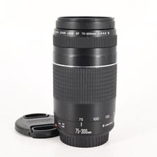 Canon EF 75-300mm f4-5.6 III Lens 027