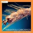 Tarantel Garganica - Wer Liebe nicht genug versteht - CD