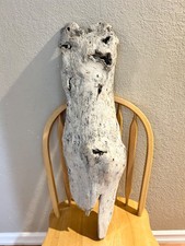 Natural unique driftwood piece display large tank taxidermy art home garden