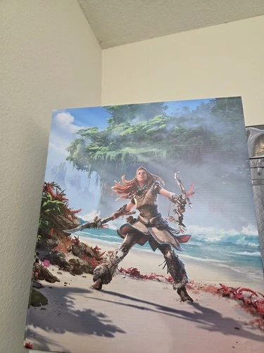 Ps5 Horizon Forbidden West Collector's Edition PS5 PS4 No Game Disc