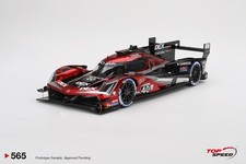 Acura ARX-06 GTP #40 Wayne Taylor Andretti 2024 IMSA Day 24 Hrs 3rd 1:18 TS0565