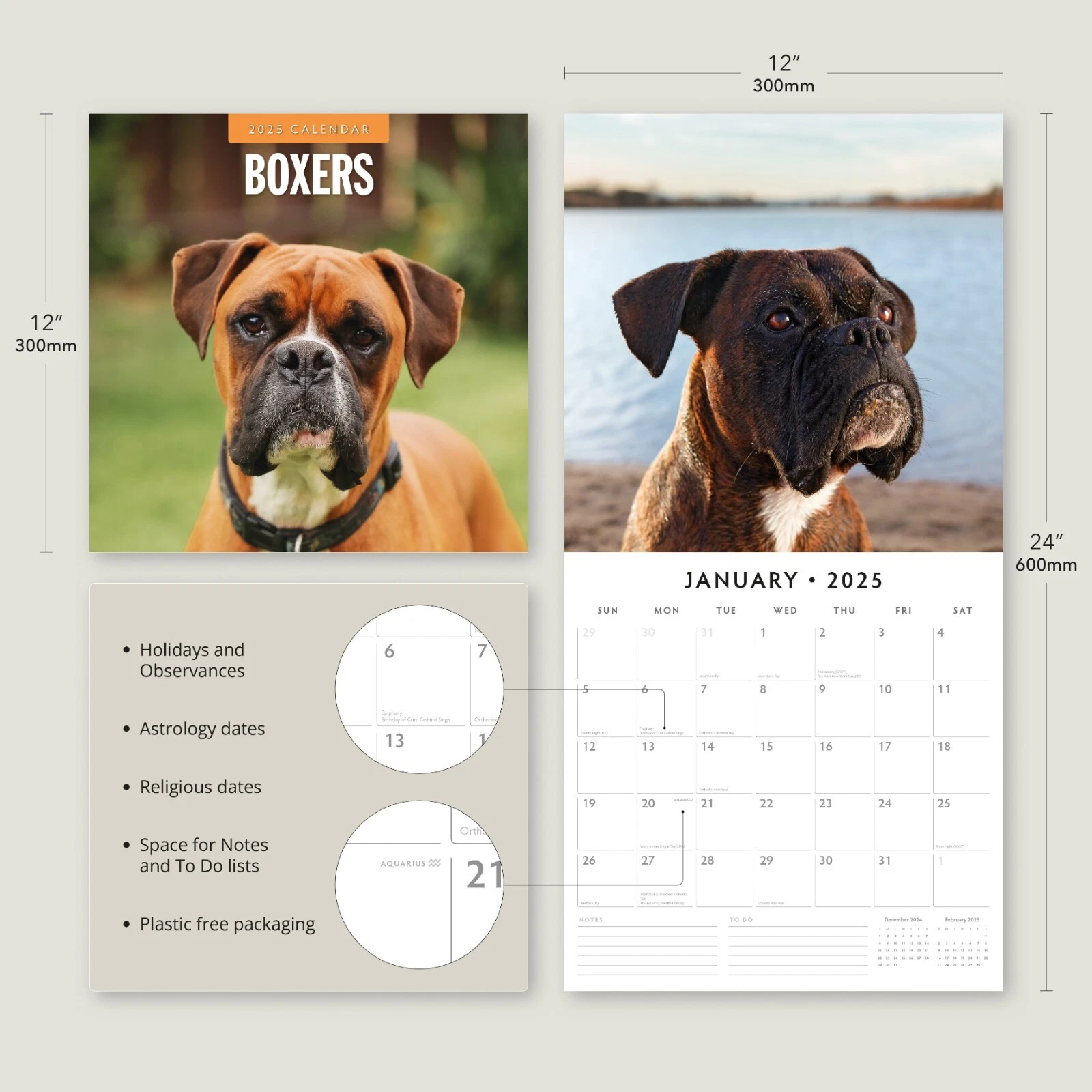 Boxers 2025 Square Wall Calendar