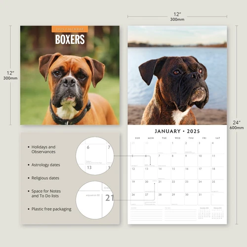 Boxers 2025 Square Wall Calendar