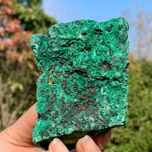 219G Natural VELVET Malachite cat's eye specimen crystal rough mineral-Congo - Picture 8 of 24