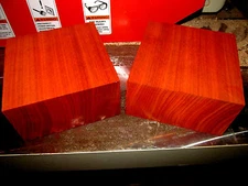 ONE BEAUTIFUL EXOTIC PADAUK BOWL BLANKS LATHE TURNING BLOCK LUMBER 6 X 6 X 3"