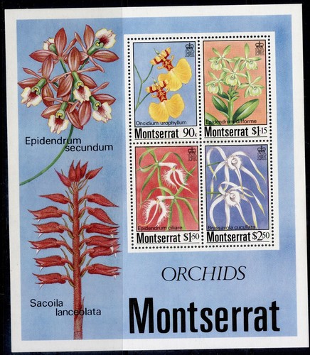 MONTSERRAT 1970-86 mini sheets NH MINT SG MS263-MS709 CHOOSE FROM LIST. - 第 21/48 張圖片