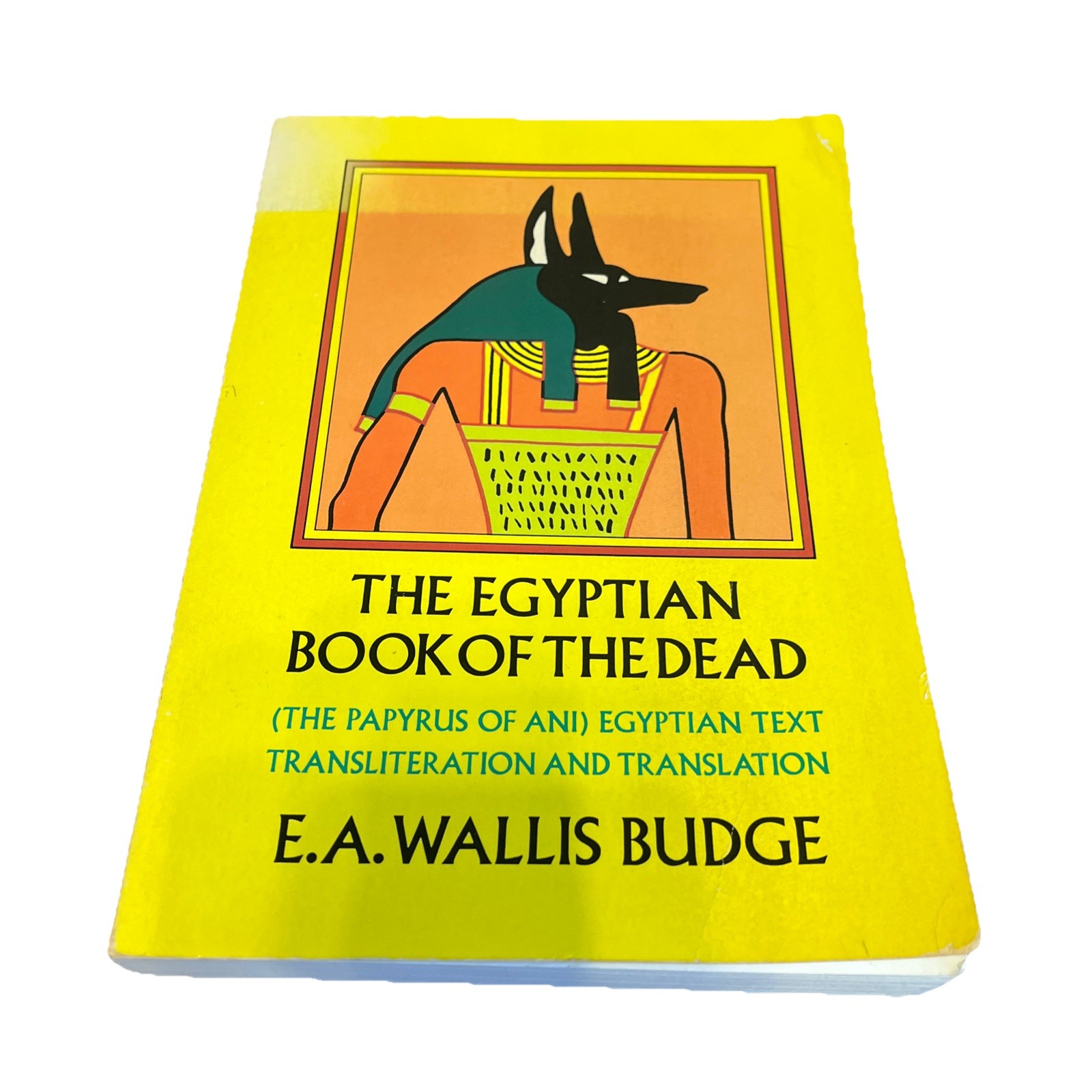 The Egyptian Book of the Dead Large Paperback E.A. Wallis Budge Papyrus Of Ani