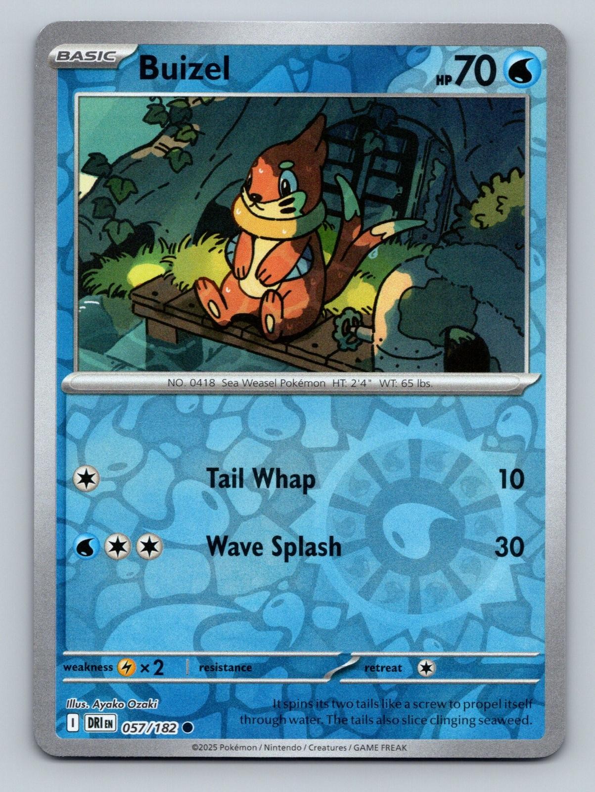 Buizel 057/182 Reverse Holo - Pokemon Destined Rivals