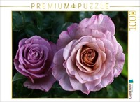 Calvendo Puzzle Beautiful Roses | 1000 Pieces, Finished Size 25.2 × 18.9 In (64