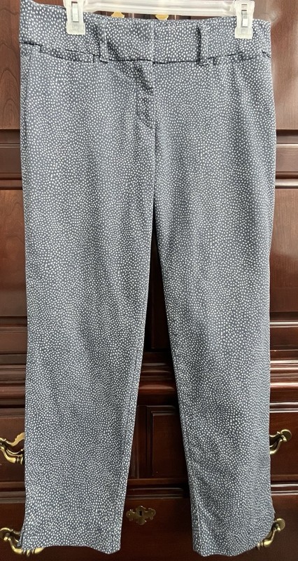 LOFT Riviera Pants Size 2