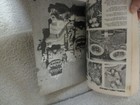 Bild 8 von 8