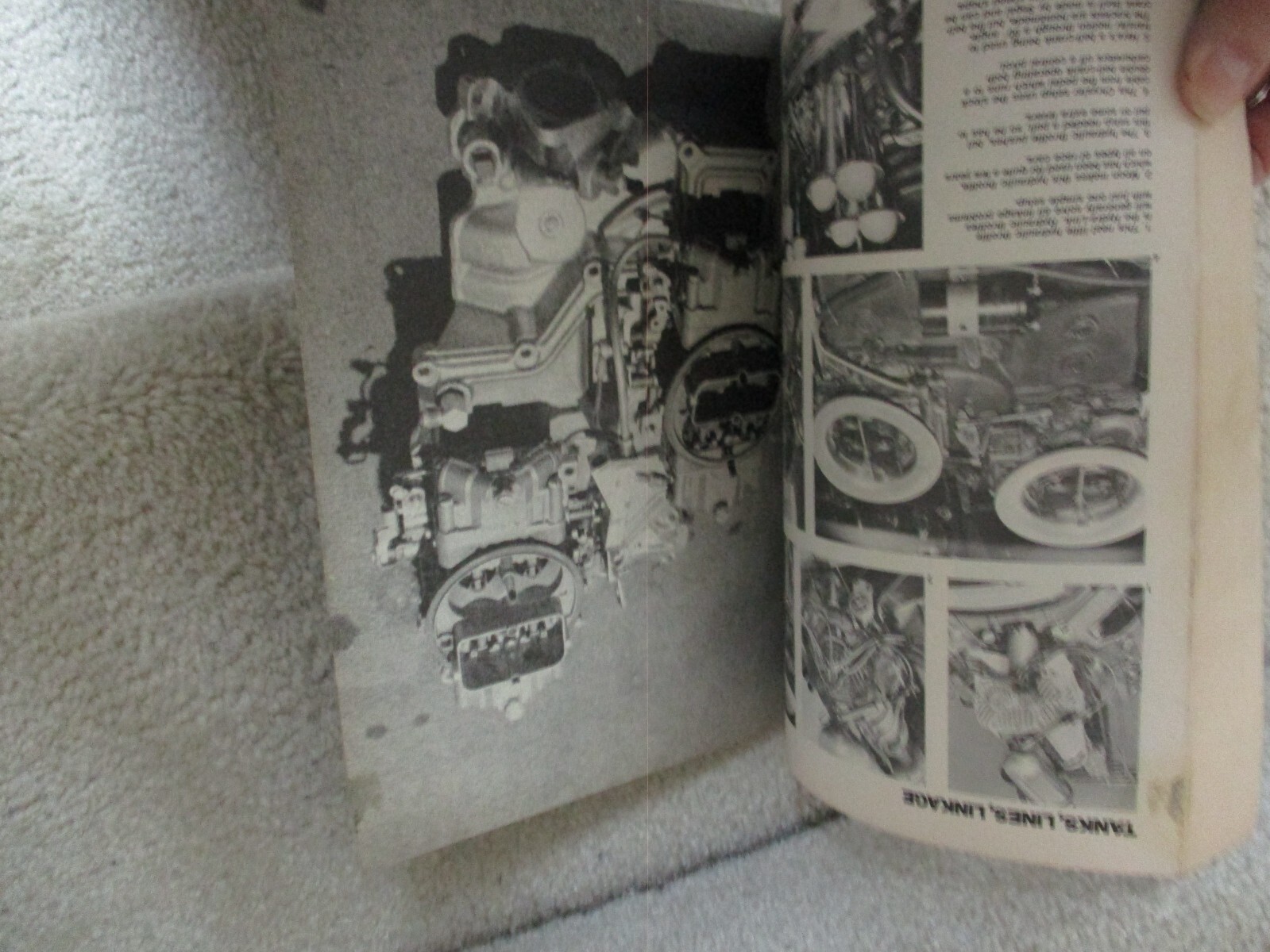 Picture 8 of 8