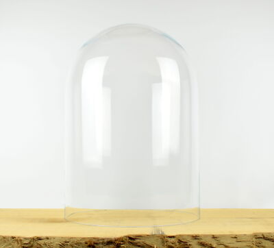 Glaskuppelabdeckung große Cloche Display Höhe 50 cm