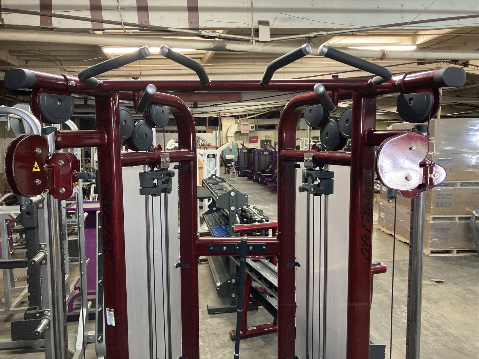 Life FItness Signature Dual Adjustable Pulley Candy Apple Red Custom
