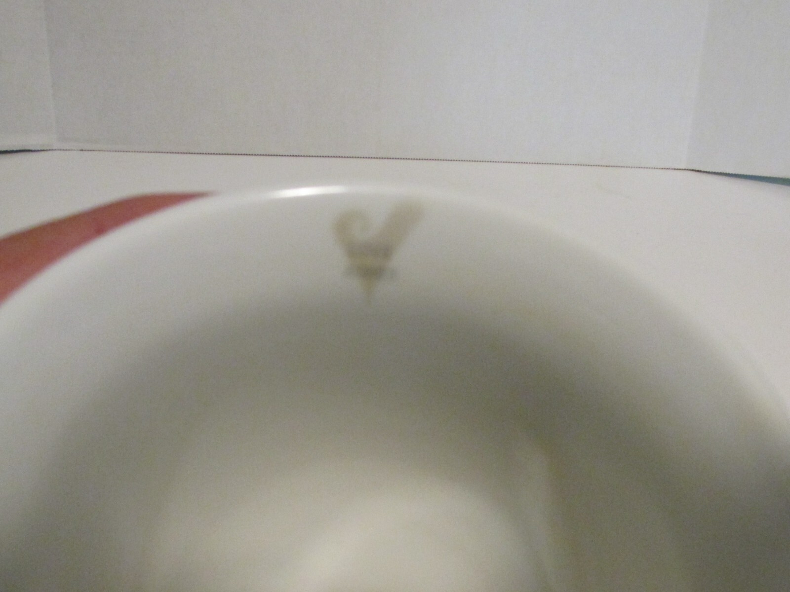 Picture 5 of 5