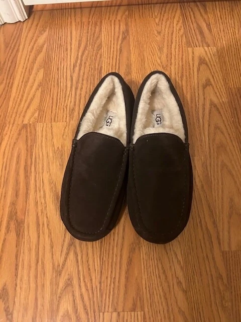 Mocassino mocassino UGG Ascot marrone scuro scamosciato foderato lana taglia 8