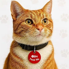 Cat ID Tag, Custom Engraved Personalized Pet Tags, Round Aluminum Charm  1" x 1"