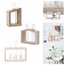 Mini Glass Vase, Plant Terrarium, for Hydroponics Plant Home Decoration