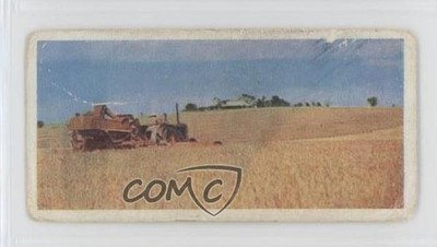 1959 Lyons Tea Australia Tea Wheat Farming #36 0f3j