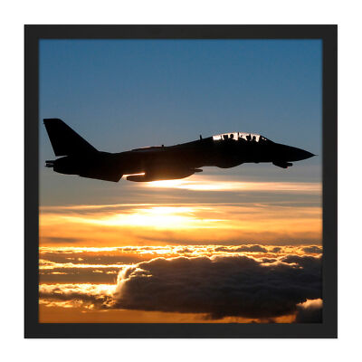 US Navy F14D Tomcat Fighter Jet Silhouette Square Framed Mountless Wall Art