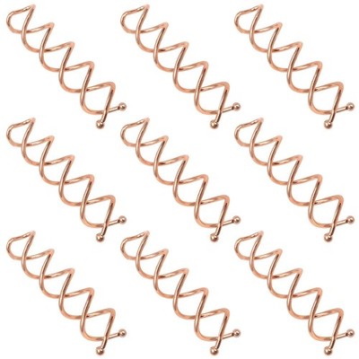 10 pcs Spiral Bobby Hair Pins Rose Gold Hair Screws Hair Twister Alloy Hair