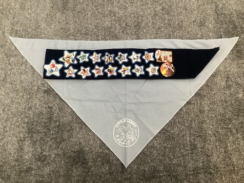 Pathfinders ? Little Lambs Boy? Girl? Scout? Sash Merit Badges SEE PICTURES - Picture 16 of 19