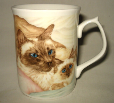 Duchess Bone China SIAMESE CATS & KITTENS Pillow Talk  9-oz COFFEE MUG TEA CUP
