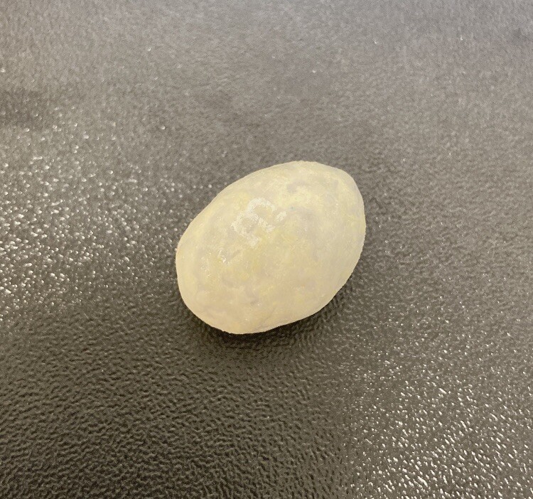 ALBINO (peanut) M&M - Rare! Possibly Has A Solid Gold Core! | eBay