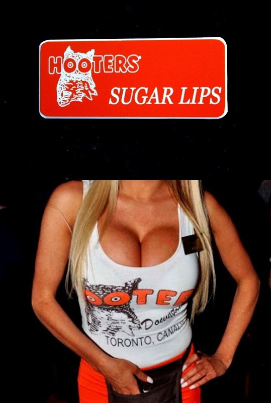 Hooters Uniform Sugar Lips Name Tag Dress Up  Rolo Play Holiday Lingerie Casino 