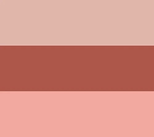 Breezies Mujer Bragas Talla 12 Original Algodón Calzoncillo Marrón A632206 Foto 3 de 4