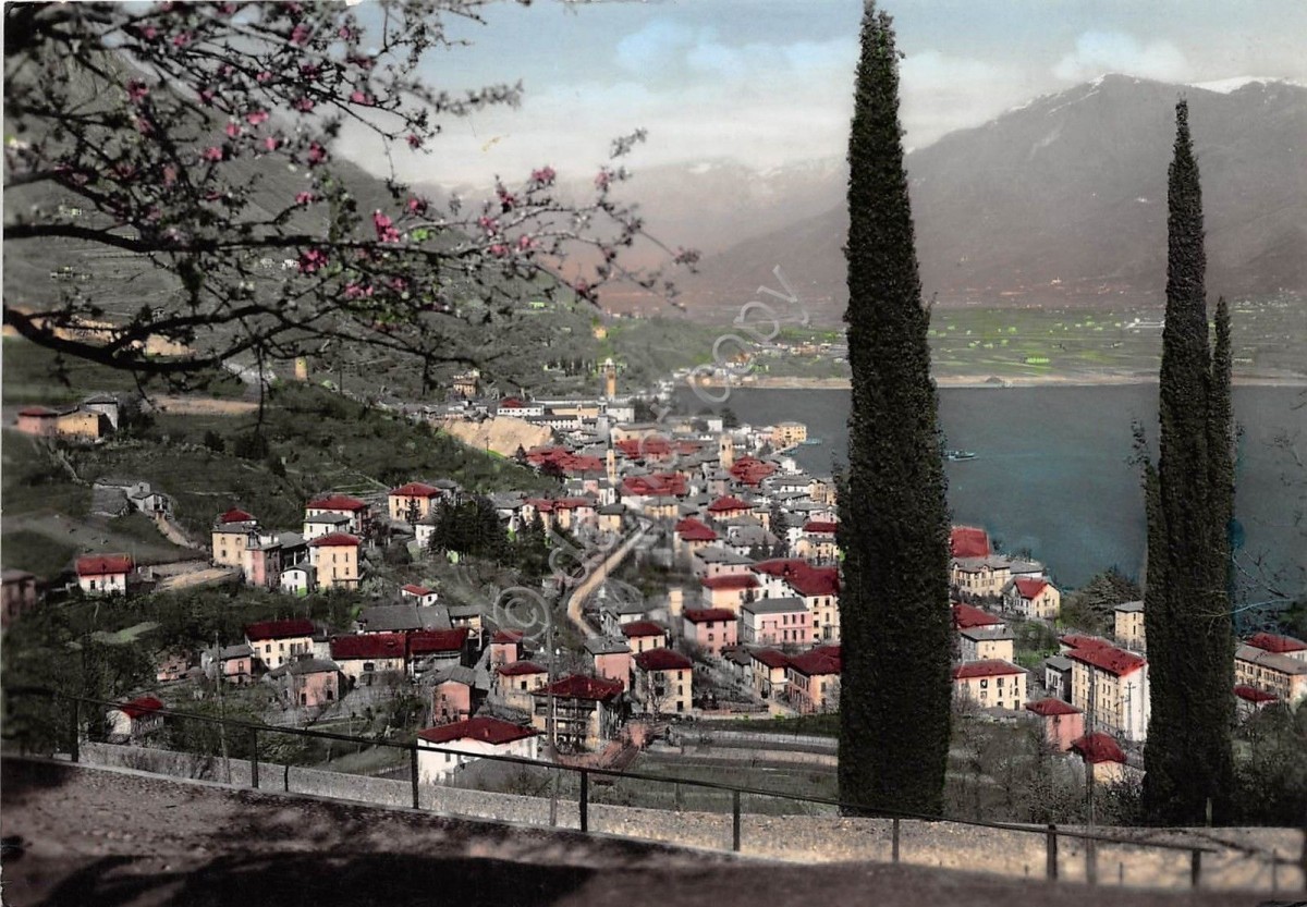 Cartolina - Postcard - Lovere - Lago d'Iseo- Panorama - 1957 (Bergamo)