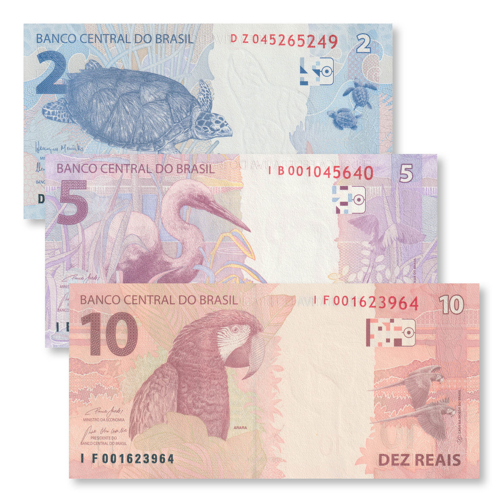 Imagen 2 de 5