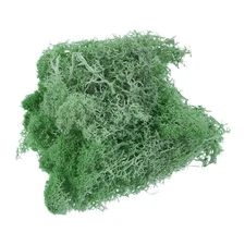 1.8 OZ Fake Moss Preserved Reindeer Moss Artificial Moss Lichen Emerald Green