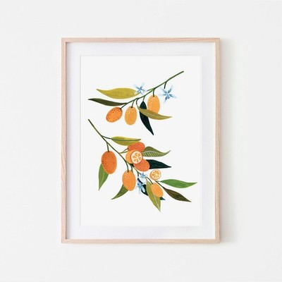 0_Kumquat Druck Küche Dekor Obst Illustration Botanischer Druck Wohndeko Lebensmittel