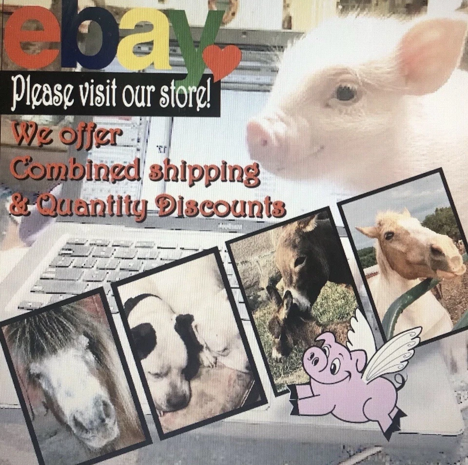 The Nutcracker Suite Cassette Tape London Symphony Vol 1 Christmas Music New/u3d - Image 4 of 4